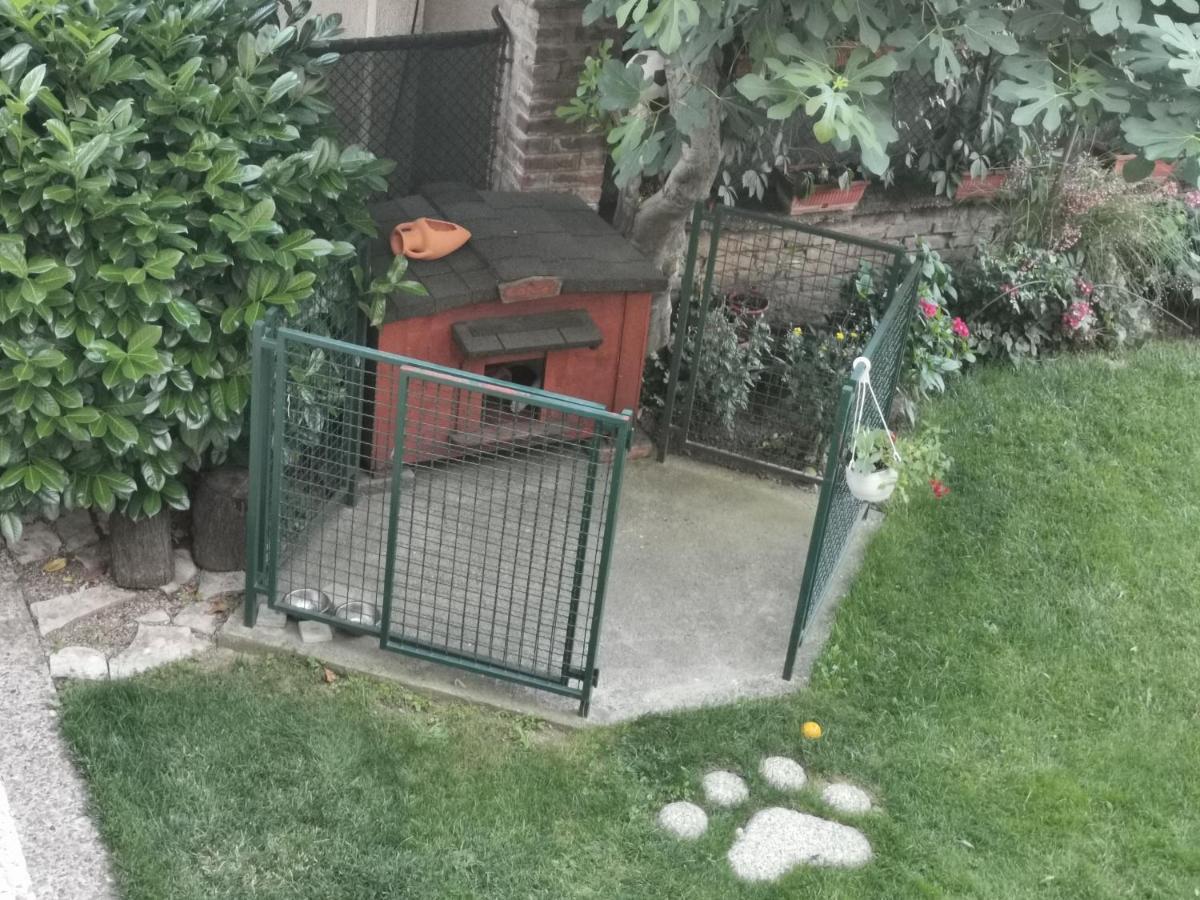 Vukajlo Apartment Belgrade Luaran gambar
